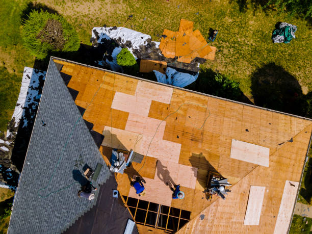 Quick and Trustworthy Emergency Roof Repair Services in Ocoee, FL